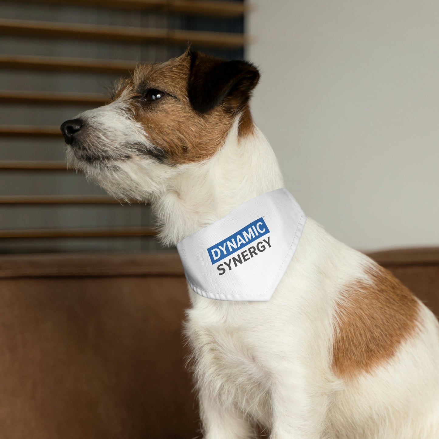 Pet Bandana Collar - Dynamic Synergy