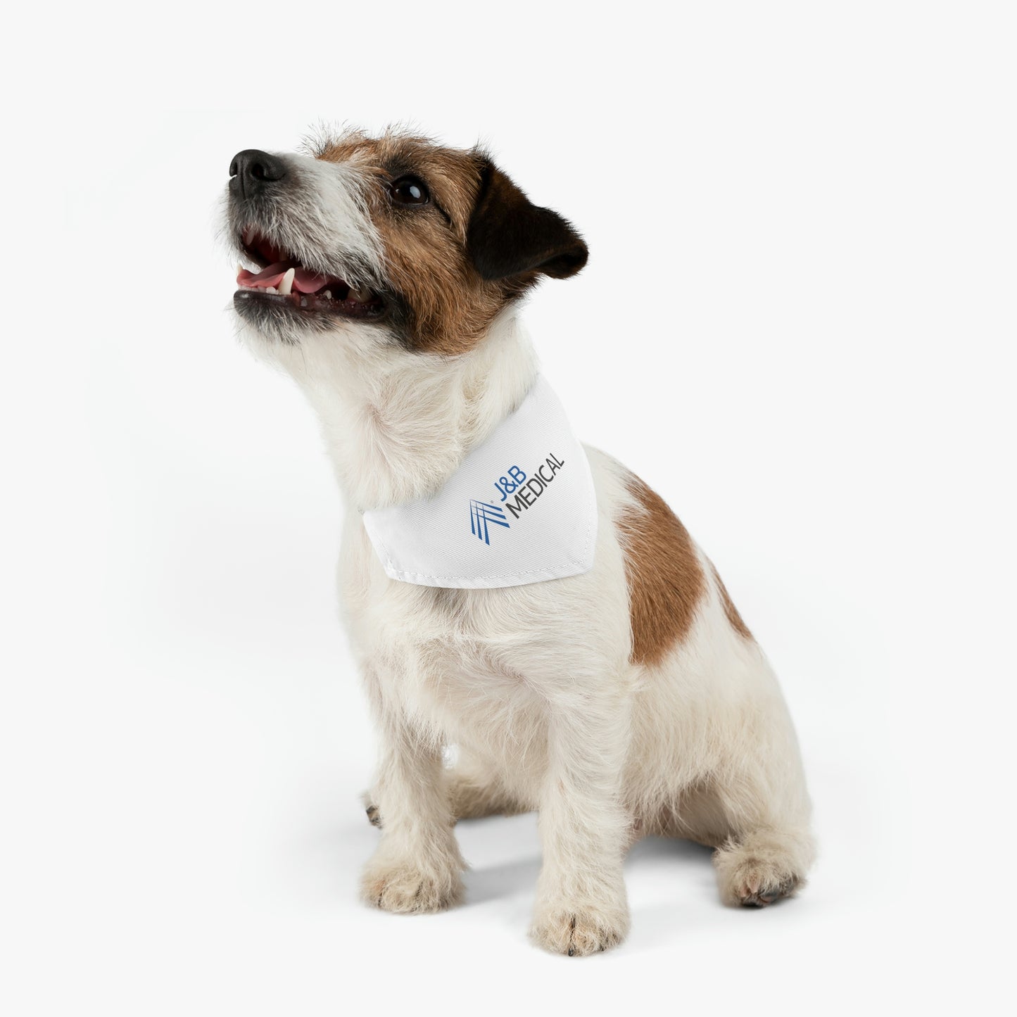 Pet Bandana Collar - J&B Medical