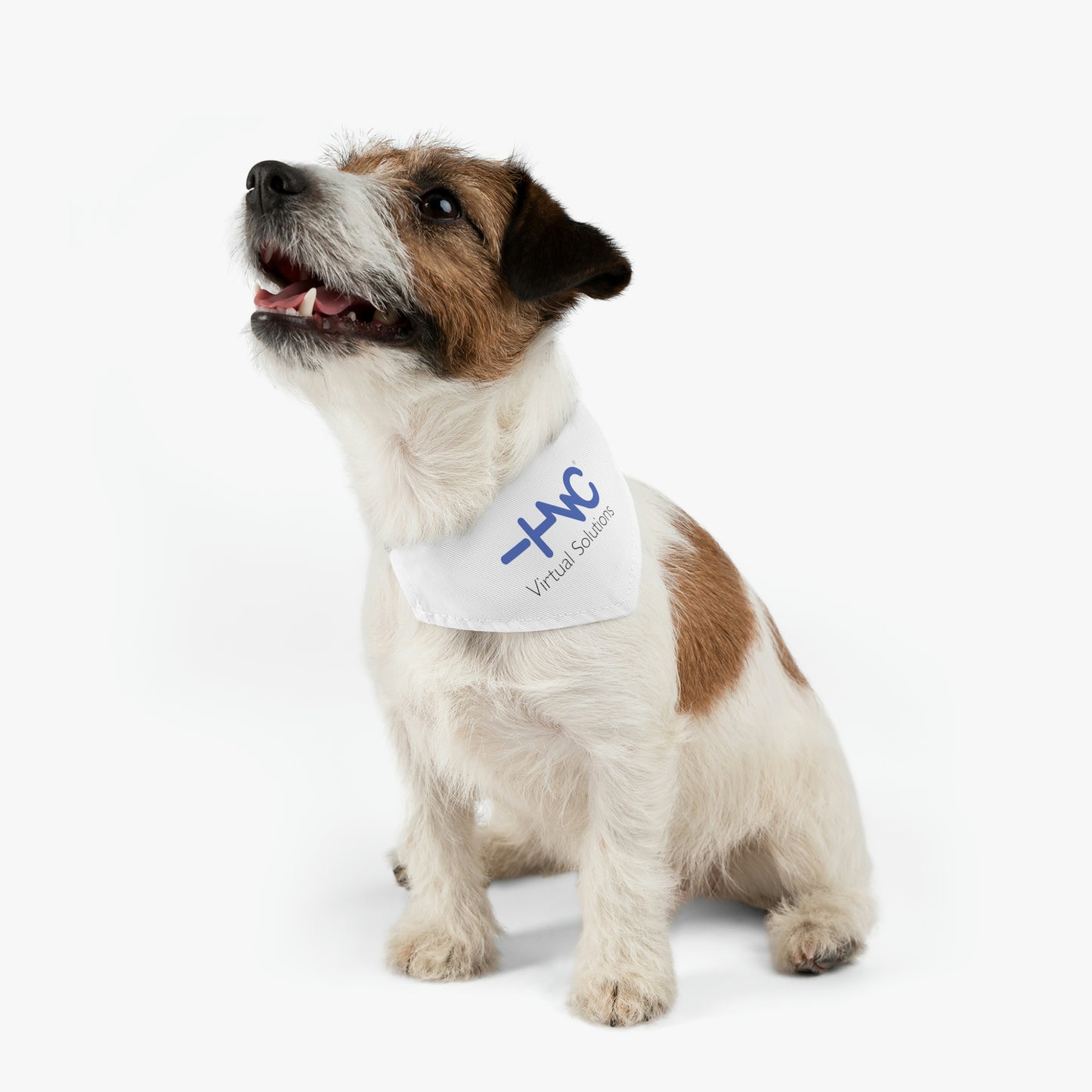 Pet Bandana Collar - HNC